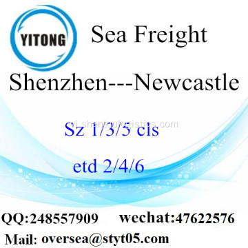 Shenzhen Port LCL củng cố cho Newcastle